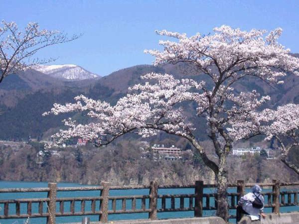 Hotel Kojokaku Katashina Bagian luar foto